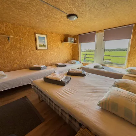 Campsite Ratturi Talu Reigi