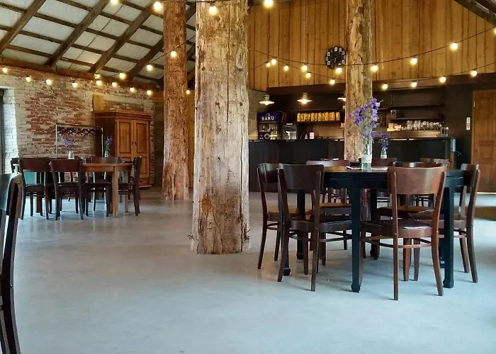 Ratturi Talu Campsite Reigi