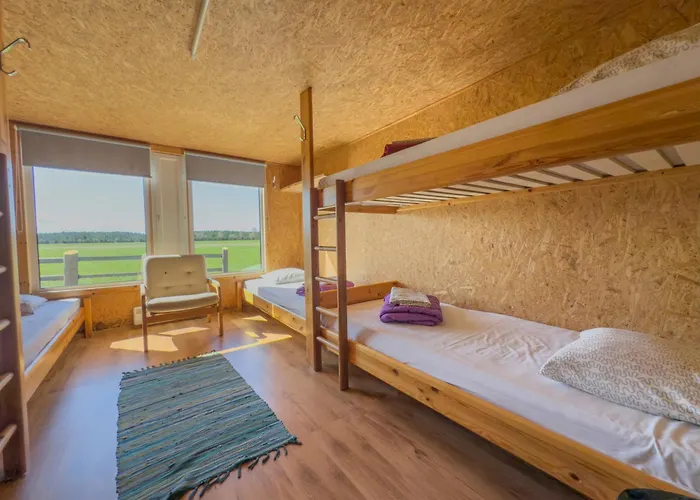 Ratturi Talu Campsite Reigi